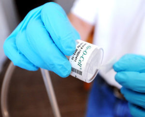 Mold-testing-300x241